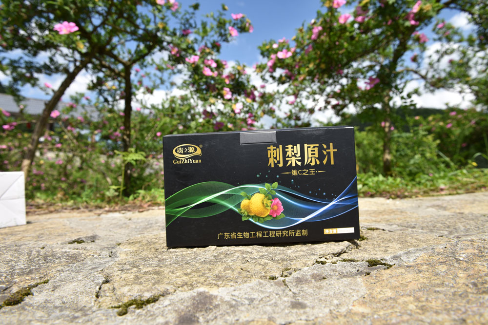 龙里刺梨原汁生产厂